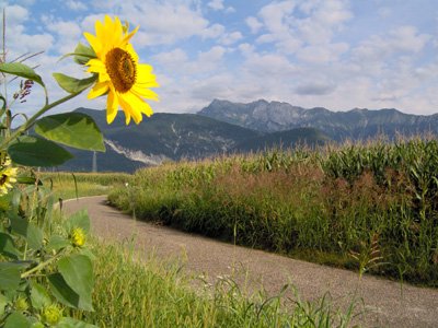 Weg zu Case di Bortolo
